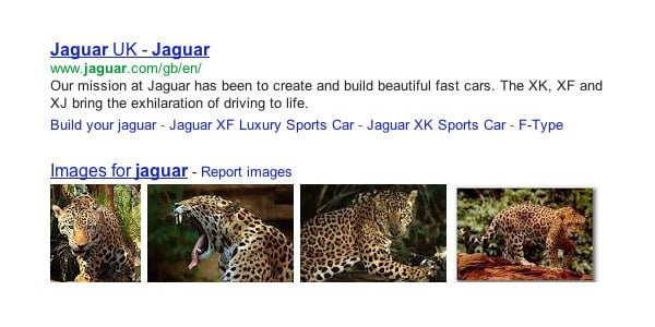jaguar |